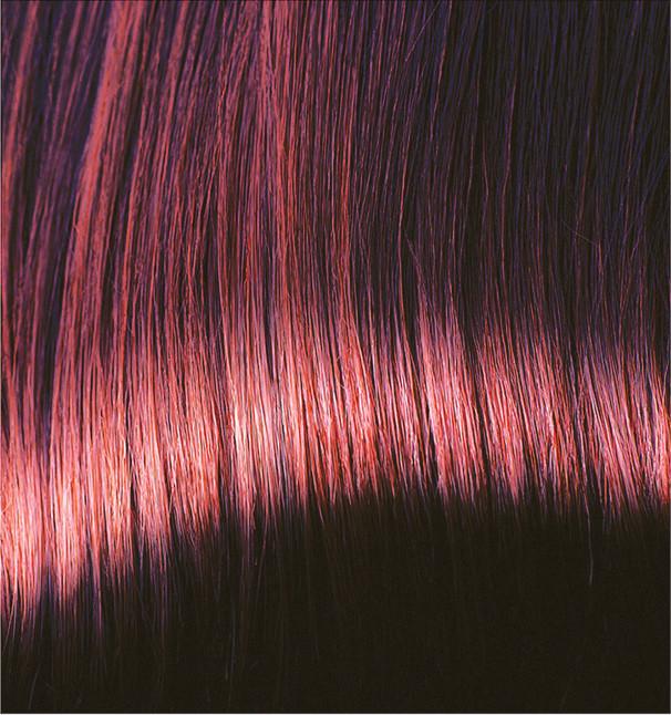 Entretien couleur acajou : raviveur de couleur